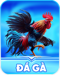 Đá gà hi88
