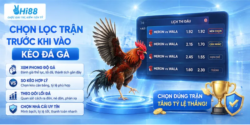 Chọn lọc trận trước khi vào kèo đá gà