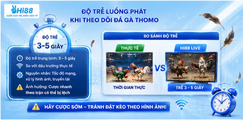Độ trễ luồng phát khi theo dõi đá gà Thomo