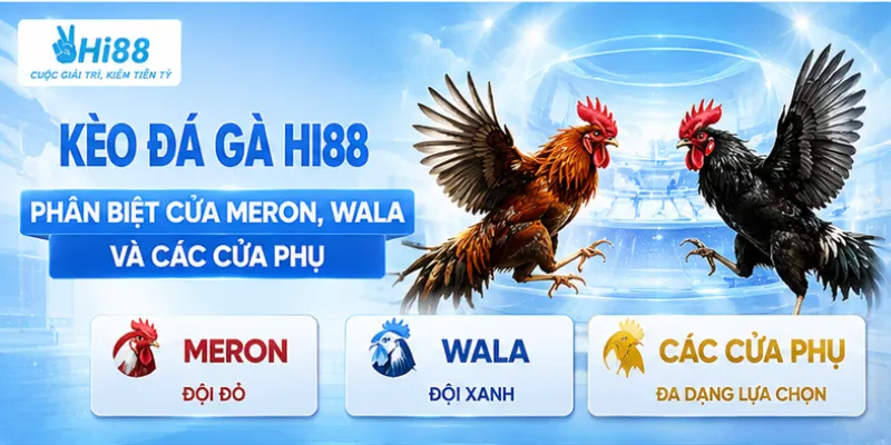 Kèo đá gà Hi88 – Phân biệt cửa Meron, Wala và các cửa phụ